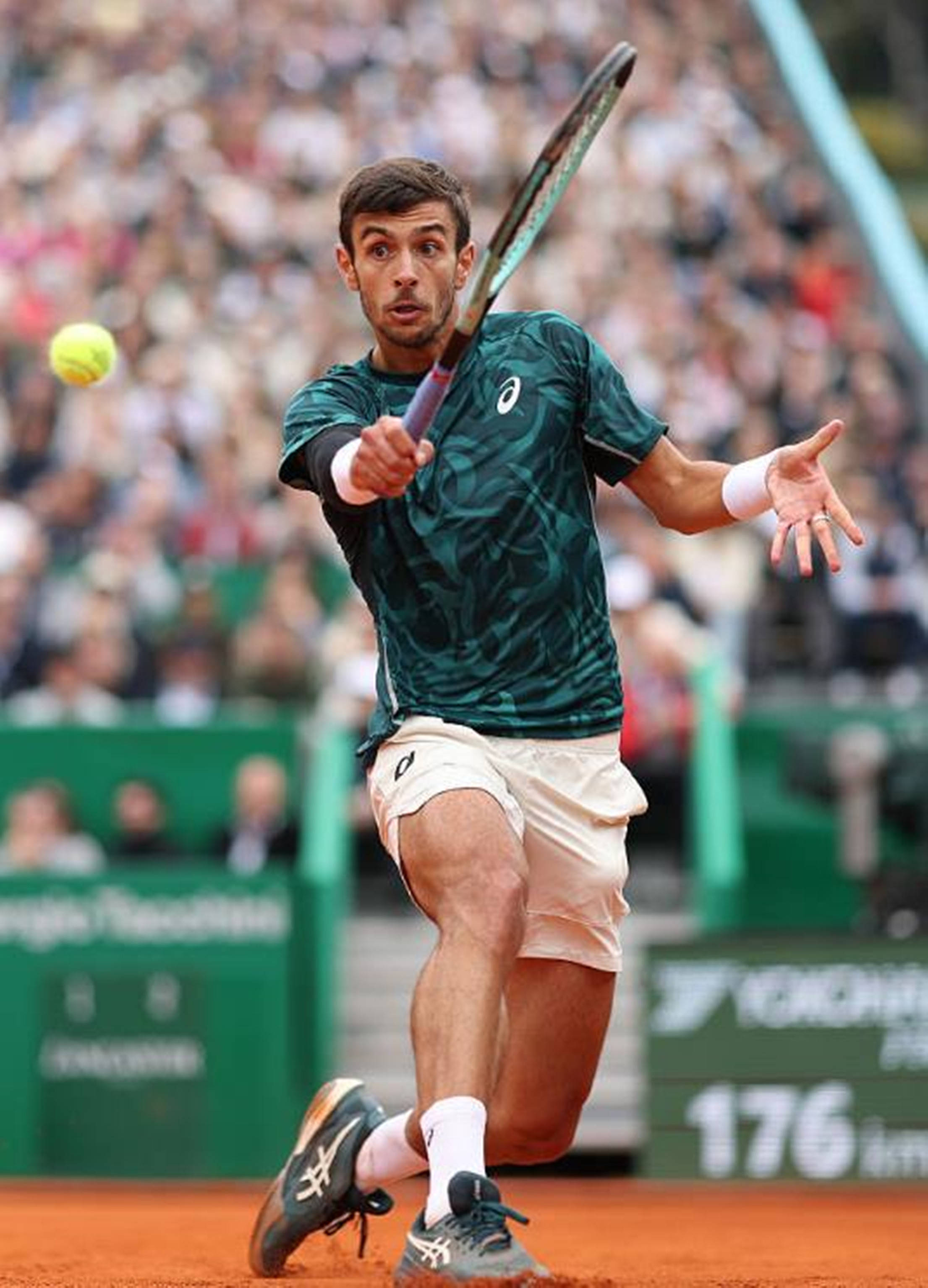 但又幸运的 但又幸运的