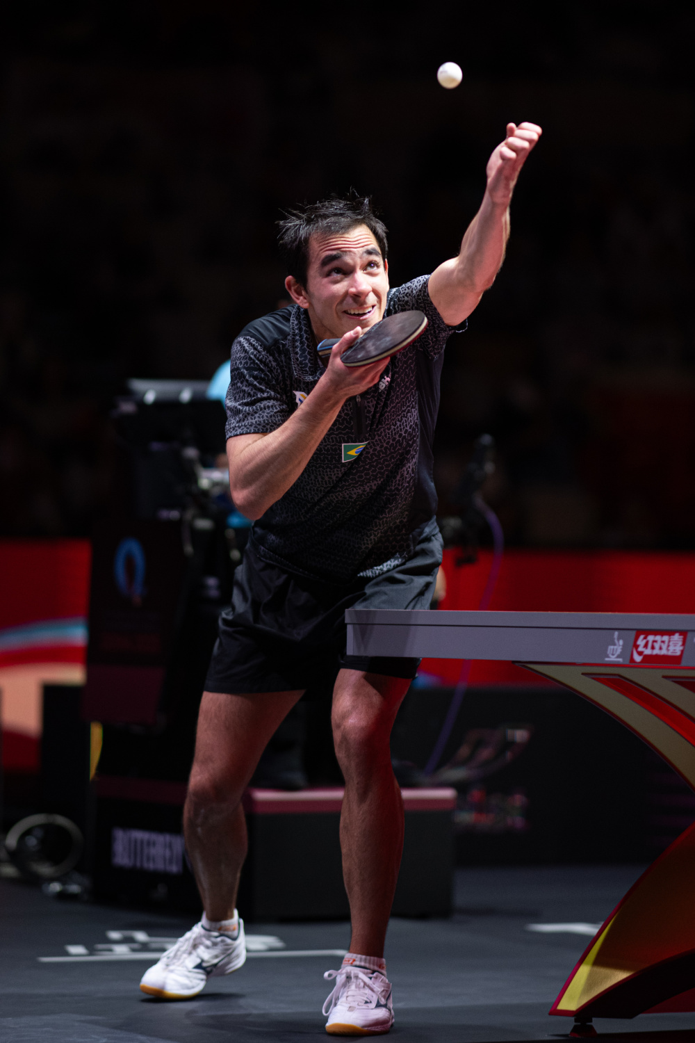 了老鹰的几 了老鹰的几