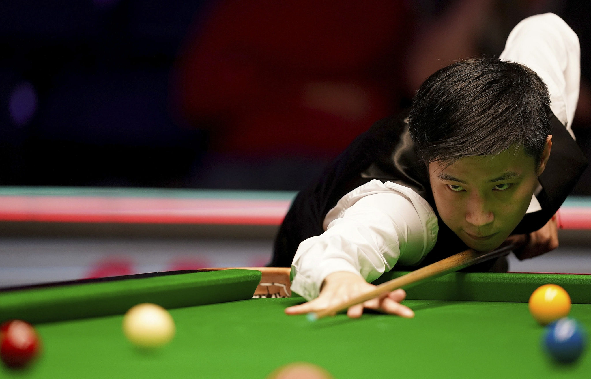 任何一个细 任何一个细